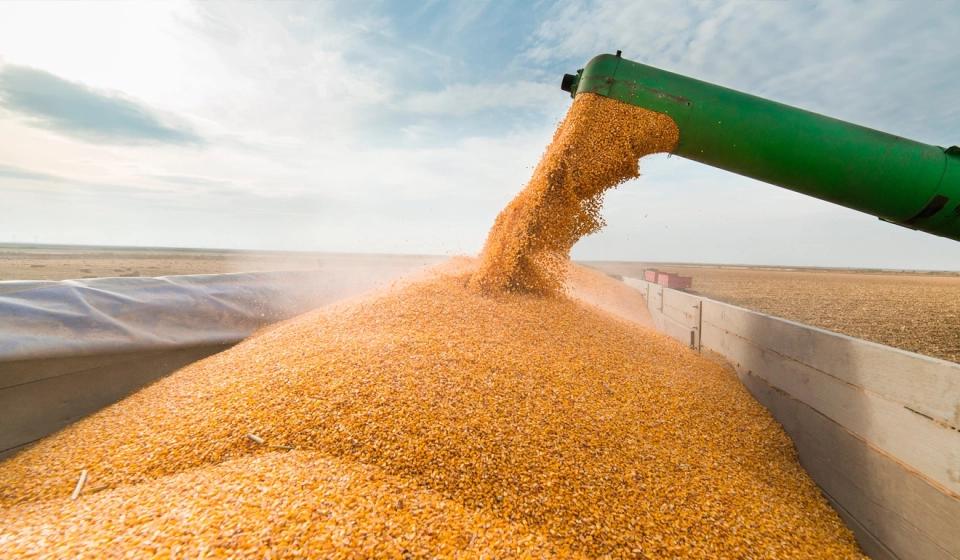 Grain-export-growth-from-Kazakhstan-new-records-and-trends